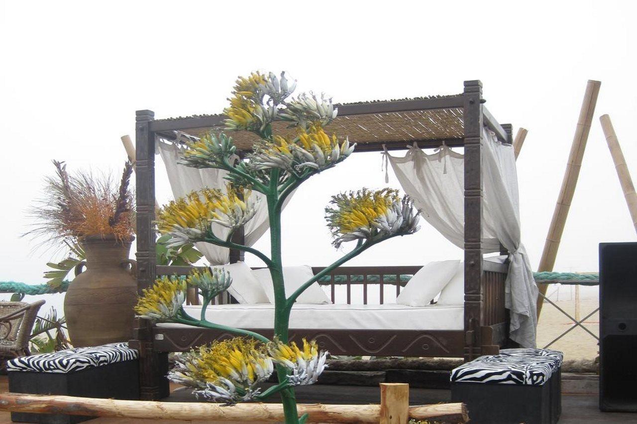 Villaggio Internazionale La Plaja 3*