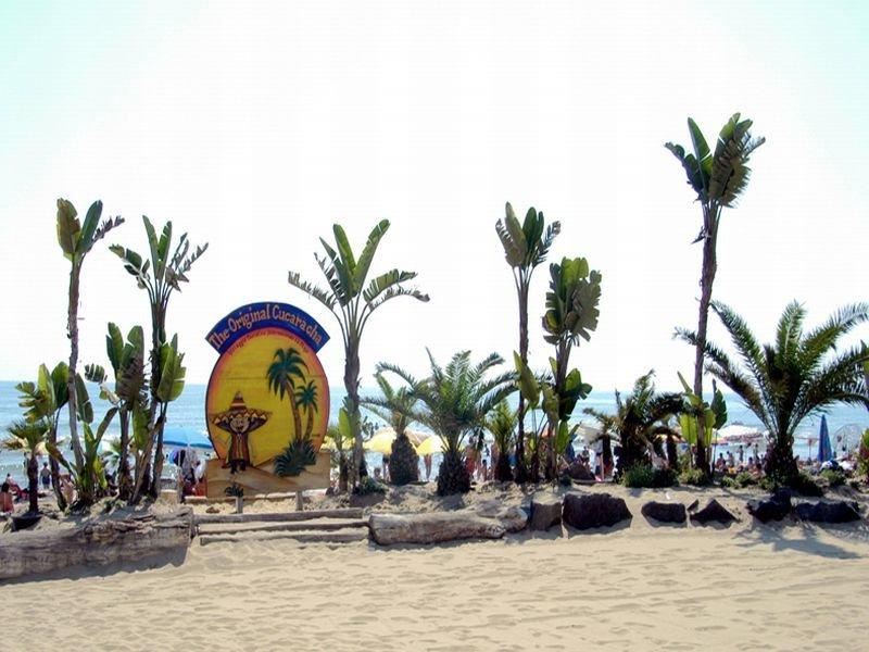 Villaggio Internazionale La Plaja Parco vacanze 3*